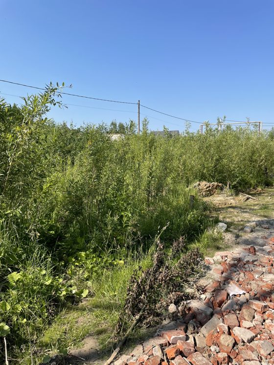 Аукцион в электронной форме по продаже лота - земельный участок с кадастровым номером 12:05:2201001:465 площадью 948 кв. м с расположенным на нем объектом недвижимого имущества, местоположение: Местоположение установлено относительно ориентира, расположенного за пределами участка. Почтовый адрес ориентира: Республика Марий Эл, р-н Медведевский, д. Корта