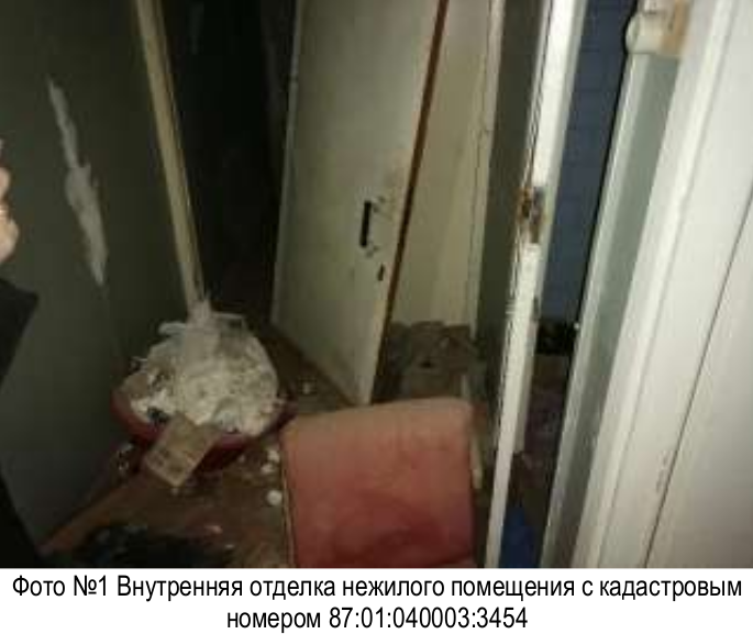 Недвижимое имущество, помещение с кадастровым номером 87:01:040003:3454