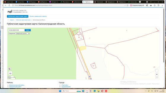 Земельный участок с кадастровым номером 39:06:020010:225