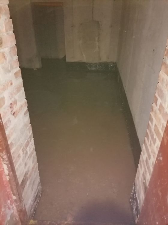 Нежилое помещение, нежилое, Ставропольский край, город Ставрополь,                  улица Тухачевского, 22/4, в квартале 560, помещения № 41 – 43, площадью 100,2 кв.м,  этаж: подвал, кадастровый номер 26:12:011503:8981.