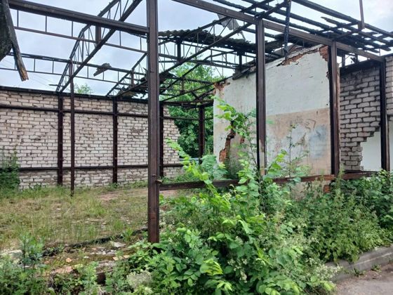 нежилое здание  - объект незавершенного строительства, степень готовности объекта незавершенного строительства - 44 %, с кадастровым номером 53:24:0000000:1309 и земельный участок площадью 200 кв.м. с кадастровым номером 53:24:0020136:199, расположенные по адресу:Новгородская область, р-н Старорусский, городское поселение город Старая Русса,  г. Старая Русса, ул. Поперечная, д.  133 А