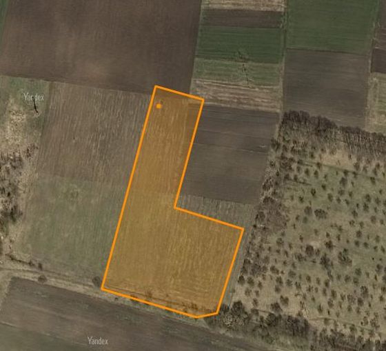 Право заключения договора купли-продажи земельного участка с кадастровым номером   32:23:0160907:132