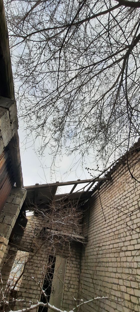 Здание гаража, назначение: нежилое, площадь: 23 кв.м, количество этажей: 1, кн: 09:04:0101009:228; навес, назначение: нежилое, площадь: 45,3 кв.м, кн: 09:04:0101036:69; сарай, назначение: нежилое, площадь: 24,6 кв.м, количество этажей: 1, кн: 09:04:0101036:68; здание склада, назначение: нежилое, площадь: 94,5 кв.м,  количество этажей: 1, кн: 09:04:0000000:9754; здание цеха по розливу воды с пристройкой, назначение: нежилое, площадь: 220 кв.м, количество этажей: 1, кн: 09:04:0000000:9752
