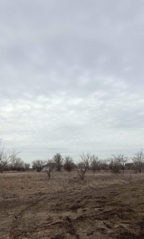 Право заключения договора аренды земельного участка