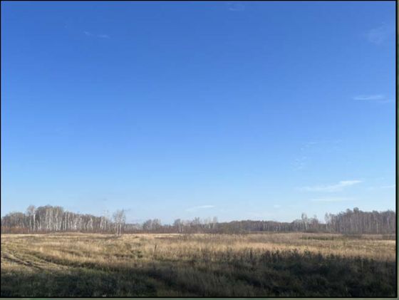 Земельный участок из состава земель сельскохозяйственного назначения с кадастровым номером 55:02:040501:137