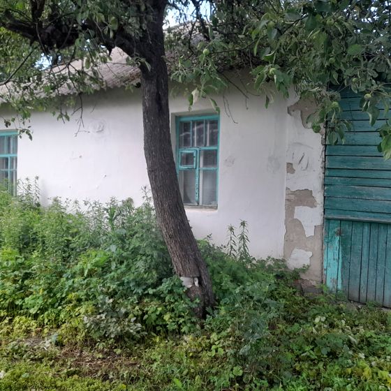 Жилое помещение, назначение: жилое, общей площадью 38 кв.м., кадастровый номер 46:32:010103:5666, расположенное по адресу: Российская Федерация, Курская область, г. Льгов, ул. Литейная, д. 40, кв. 1