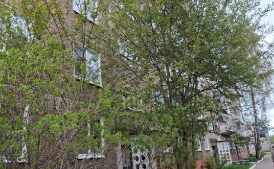 7/20 доли в праве общей долевой собственности на квартиру, общ.пл.33,4кв.м., кад.№59:10:0105003:357, соб-к: Оруджов В. Т. Оглы, адрес: Пермский край, г. Соликамск, ул. Северная,37-48 (Сведения о зарегистрированных лицах и капремонте отсутствуют).