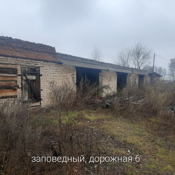 Нежилое здание, общей площадью 119,2 кв.м, кадастровый номер: 56:08:0207001:200, расположенное по адресу: Оренбургская область, Бузулукский район, п. Заповедный, ул. Дорожная, д. 6.