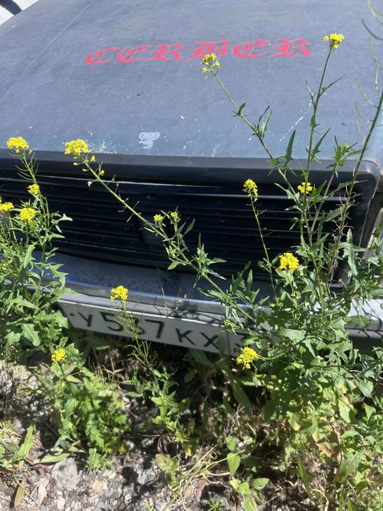 А/м ВАЗ 21074, LADA 2107, г/н У537КХ30, VIN XTA21074062315901, 2006 г/в, цвет сине-зеленый. 1 шт.