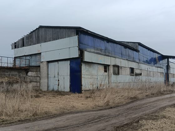 На право заключения договора аренды здания зерносушильного комплекса площадью 360м2, с кадастровым номером 47:22:0000000:16920 по адресу: Ленинградская область, Волосовский  район, Калитинское сельское поселение, п. Калитино