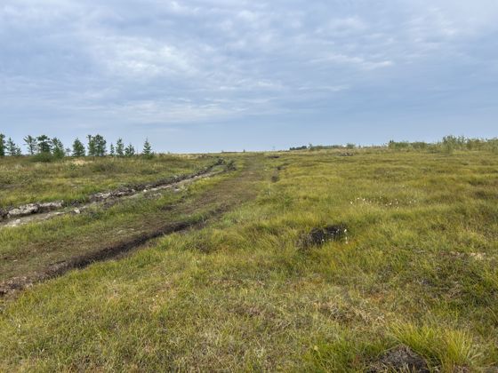 Предварительное согласование предоставления ЗУ
