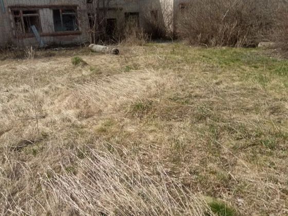 нежилое здание (дет. сад)