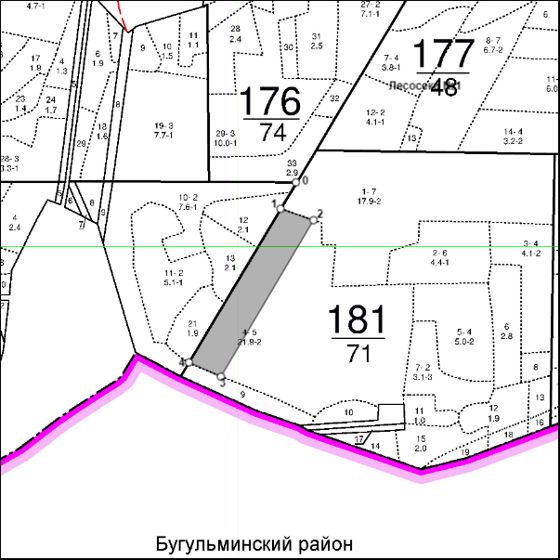 Право на заключение договора купли-продажи лесных насаждений для субъектов малого и среднего предпринимательства  расположенных на территории Республики Татарстан