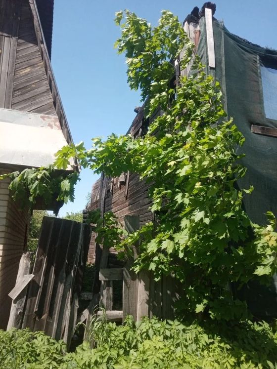 Здание (жилой дом)