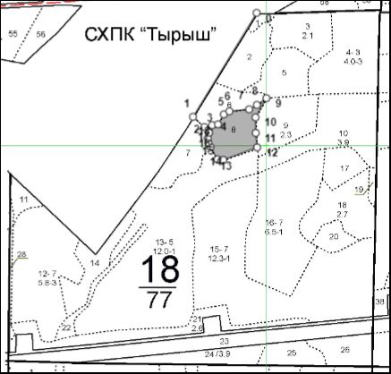 Право на заключение договора купли-продажи лесных насаждений для субъектов малого и среднего предпринимательства  расположенных на территории Республики Татарстан