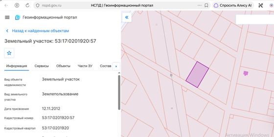 Земельный участок с кадастровым номером 53:17:0201920:57