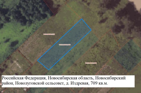 Земельный участок с кадастровым номером 54:19:140201:1446, площадью 709 кв.м, местоположение: Российская Федерация, Новосибирская область, Новосибирский район, Новолуговской сельсовет, д. Издревая, цель предоставления: для ведения личного подсобного хозяйства (приусадебный земельный участок) (2.2).