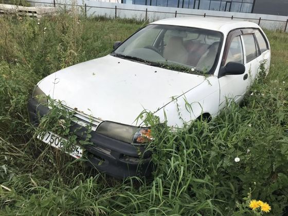 Реализация по прямому назначению: 1. Автомобиль марки "NissanSunny" (Ниссан Санни), гГРЗ Р811ВО 154, номер кузова FB15108446 (состояние удовлетворительное, рабочее, документы и ключи в наличии, капот заблокирован) 2. Автомобиль "ТОЙОТА КОРОЛЛА",ГРЗ Х750ОМ54, гг.в. 1997 б/у,номер кузова EE1026011580, (документы и ключи отсутствуют)