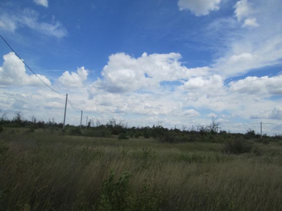 Право заключения договора аренды земельного участка