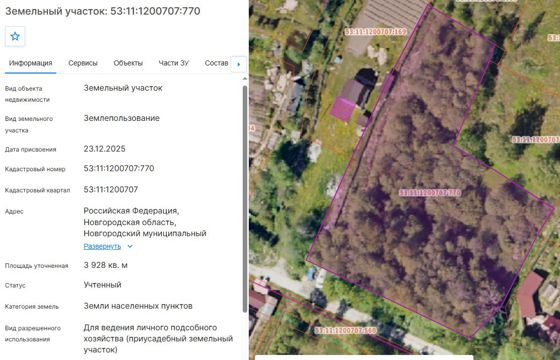 Лот № 5 - земельный участок из земель населённых пунктов с кадастровым номером 53:11:1200707:770, площадью 3928 кв.м