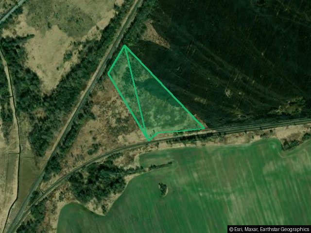Земельный участок - 30 600 +/- 1 531 кв. м, местоположение установлено относительно ориентира, расположенного в границах участка, почтовый адрес ориентира: Калининградская обл., Гурьевский р-н, юго-западнее пос. Ласкино, кадастровый номер 39:03:080904:9, земли промышленности, энергетики, транспорта, связи, радиовещания, телевидения, информатики, земли для обеспечения космической деятельности, земли обороны, безопасности и земли иного специального назначения - для размещения лесопильно-деревообра