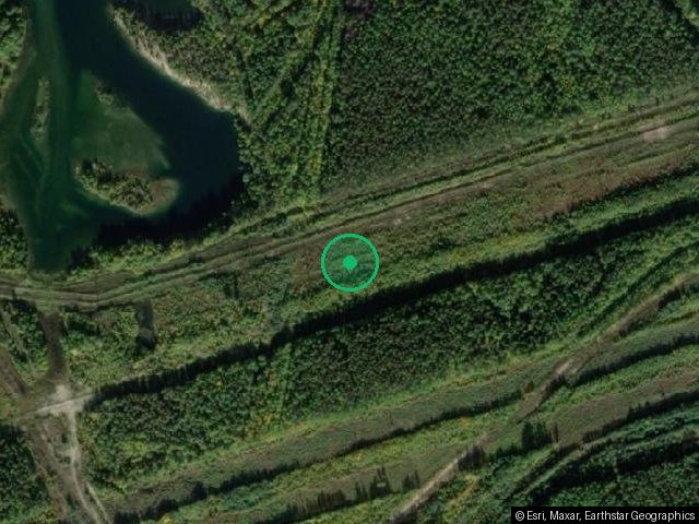 1) нежилое помещение общ. пл. 736,7 кв. м с кадастровым номером 11:20:0604002:1369, расположенное на земельном участке с кадастровым номером 11:20:0604002:967 по адресу: Республика Коми, г. Ухта, ул. Дежнева, д. 42, пом. 1.002;
2) земельный участок для размещения складских помещений общ. пл. 12402 +/- 39 кв. м с кадастровым номером 11:20:0604002:967, расположенный по адресу: Республика Коми, г. Ухта, ул. Дежнева, д. 42;
3) здание (нежилое) общ. пл. 119,1 кв. м с кадастровым номером 11:20:0604002