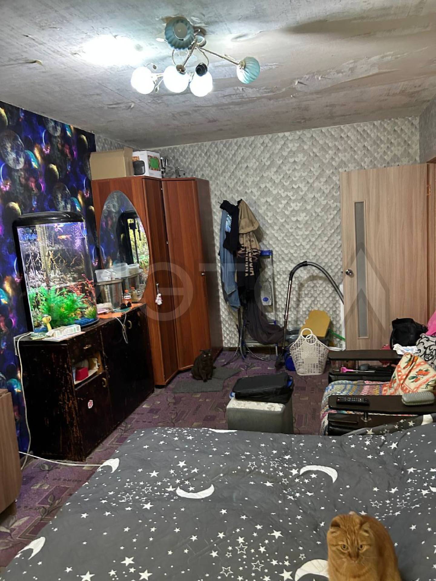 1/6 доля в праве на жилое помещение,
площадь: 61,6кв.м., адрес
(местонахождение): Челябинская обл, г
Снежинск, ул Дзержинского, д 30,
кадастровый номер: 74:40:0101009:1226
Порядок ознакомления с имуществом должника:
С ЛОТОМ №1 можно ознакомиться по месту его нахождения: Челябинская обл, г Снежинск, ул Дзержинского, д 30, предварительно согласовав время с Финансовым управляющим по тел. +79823098183, либо путем направления запроса на электронную почту aakarimova@inbox.ru, с момента публикации сооб