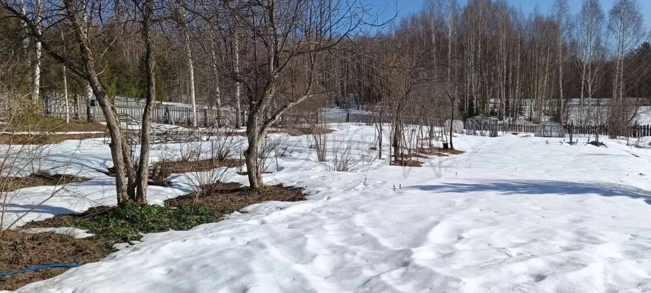 1/48 доли в праве обще долевой собственности на Земельный участок, кадастровый (условный) номер: 59:12:0220000:9, адрес (местонахождение): Российская Федерация, Пермский край, городской округ Чайковский, деревня Дубовая, улица Заречная, з/у 10А, площадь 1875 кв.м., категория земель: земли населенных пунктов, вид разрешенного использования: личное подсобное хозяйство. Граница земельного участка не установлена в соответствии с требованиями земельного законодательства. Характеристика: на территории