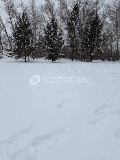 земельный участок, площадью 390 кв.м., с кадастровым номером: 74:19:0801001:636. Адрес: Российская Федерация, Челябинская область, Сосновский, примерно в 5,3 км на юго-восток от д. Медиак.
Во избежание претензий относительно технического состояния имущества (лота), его комплектности , покупателю действуя добросовестно, необходимо проявить должную осмотрительность и выехать по месту нахождения имущества (лота) с целью его осмотра - лично, либо через представителя. Участники торгов соглашаются с т