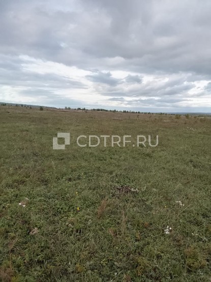 Земельный участок, площадью 100000 +/- 2767 кв.м, виды разрешенного использования объекта недвижимости: для организации сельскохозяйственного производства, кадастровый номер 85:02:090504:99, адрес местонахождения: Местоположение установлено относительно ориентира, расположенного в границах участка. Почтовый адрес ориентира: Иркутская область, Баяндаевский район, ур. "Иванова пашня".
Ознакомление с имуществом, заключение договоров задатка и оформление необходимых документов осуществляется с 08.09